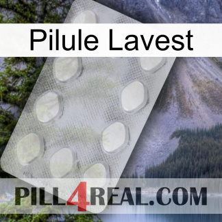 Lavest Pill 16